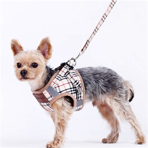 burberry harness